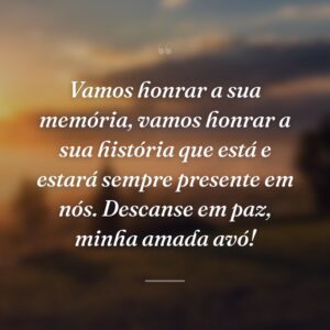 Vamos honrar a sua memória, vamos honrar a sua história que está e estará sempre presente em nós. Descanse em paz, minha amada avó!