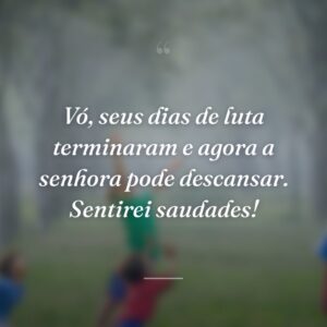 Vó, seus dias de luta terminaram e agora a senhora pode descansar. Sentirei saudades!