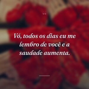 Vó, todos os dias eu me lembro de você e a saudade aumenta.