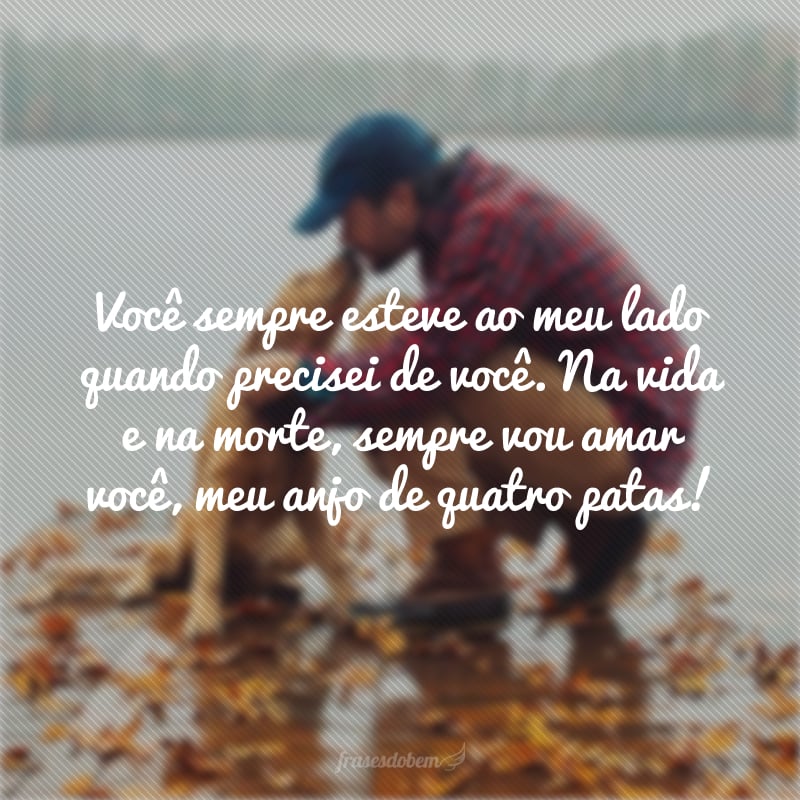 Você sempre esteve ao meu lado quando precisei de você. Na vida e na morte, sempre vou amar você, meu anjo de quatro patas!