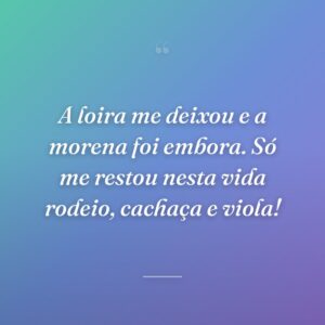 A loira me deixou e a morena foi embora. Só me restou nesta vida rodeio, cachaça e viola!