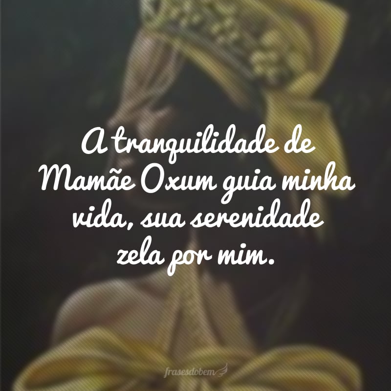 A tranquilidade de Mamãe Oxum guia minha vida, sua serenidade zela por mim. 