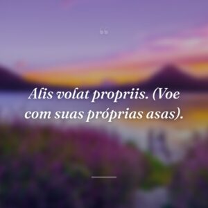 Alis volat propriis. (Voe com suas próprias asas).