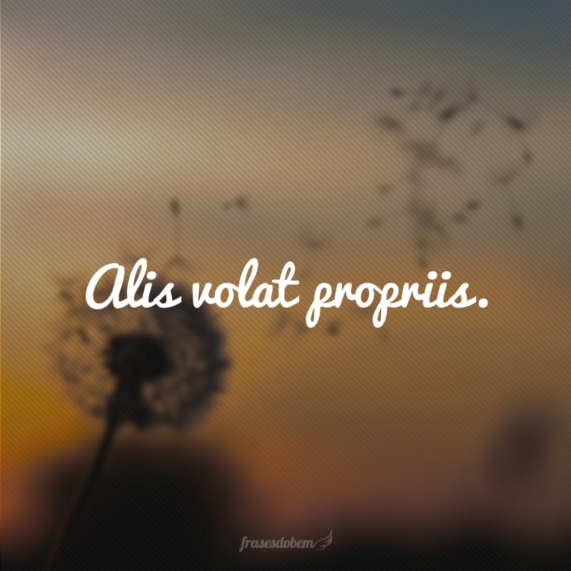 Alis volat propriis. (Voe com suas próprias asas).