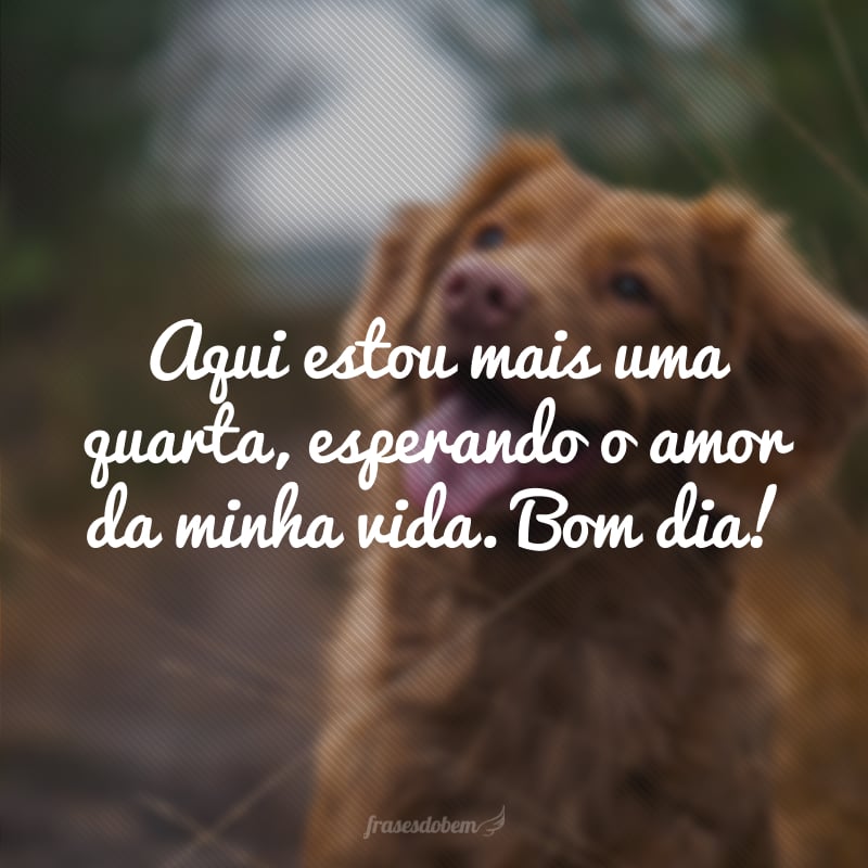 Aqui estou mais uma quarta, esperando o amor da minha vida. Bom dia!