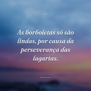 As borboletas só são lindas, por causa da perseverança das lagartas.