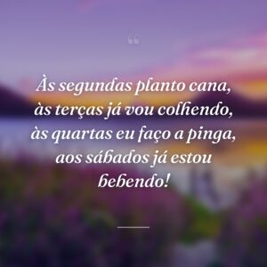 Às segundas planto cana, às terças já vou colhendo, às quartas eu faço a pinga, aos sábados já estou bebendo!