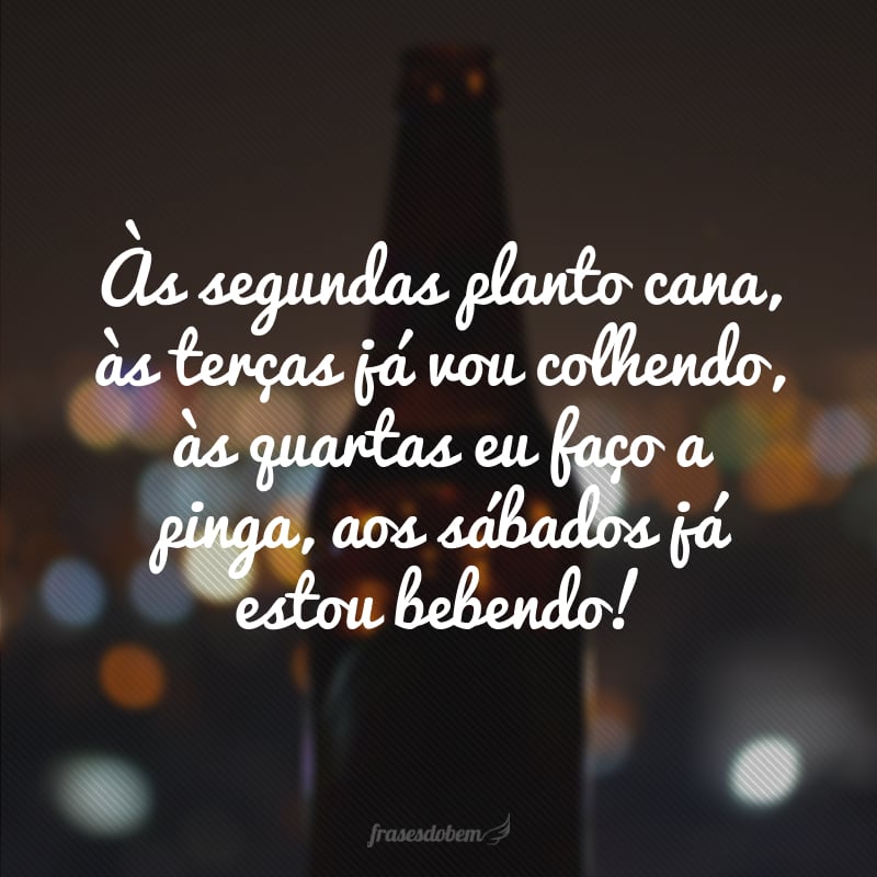 Às segundas planto cana, às terças já vou colhendo, às quartas eu faço a pinga, aos sábados já estou bebendo!