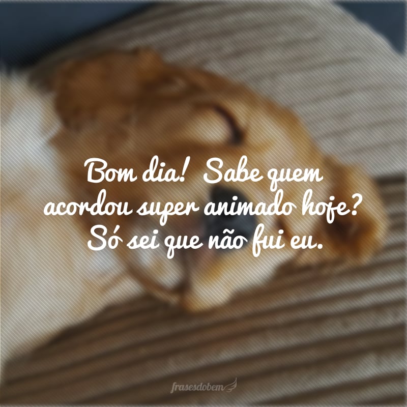 Bom dia! Sabe quem acordou super animado hoje? Só sei que não fui eu.