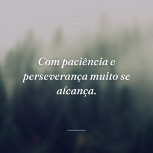 Com paciência e perseverança muito se alcança.