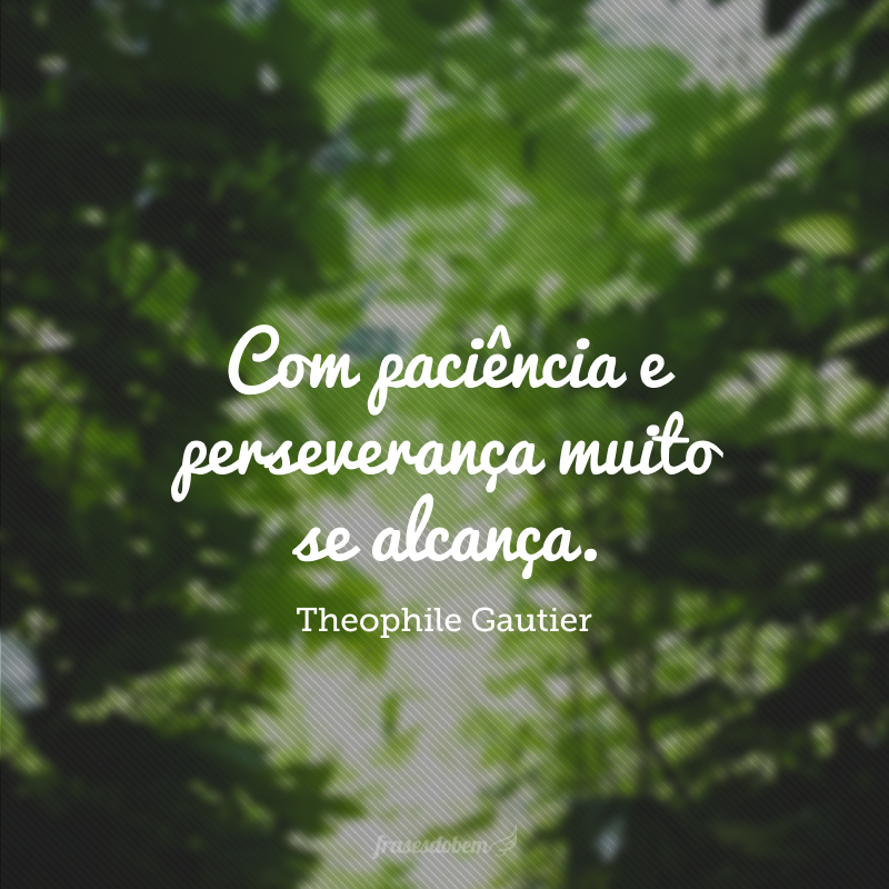 Com paciência e perseverança muito se alcança. 