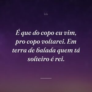 É que do copo eu vim, pro copo voltarei. Em terra de balada quem tá solteiro é rei.