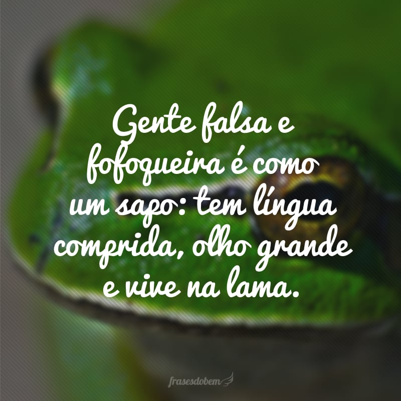 Gente falsa e fofoqueira é como um sapo: tem língua comprida, olho grande e vive na lama.