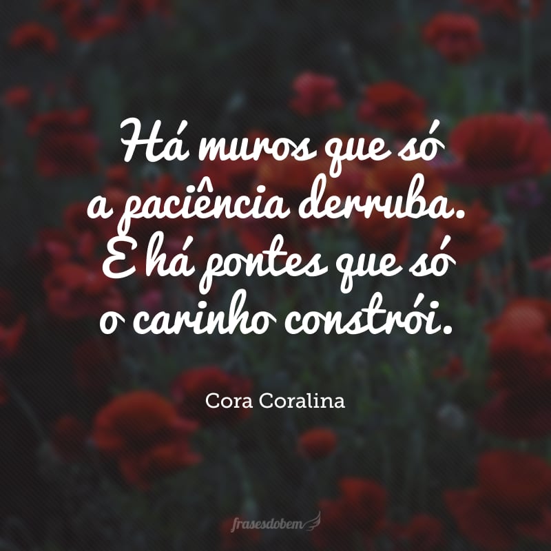 Há muros que só a paciência derruba. E há pontes que só o carinho constrói.