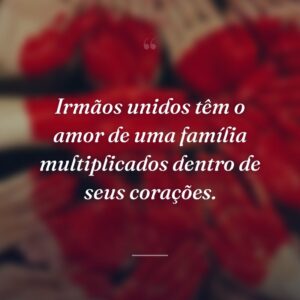 Irmãos unidos têm o amor de uma família multiplicados dentro de seus corações.