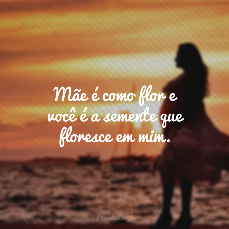 Mãe é como flor e você é a semente que floresce em mim. 