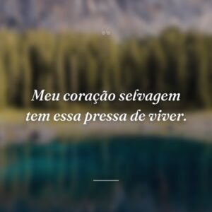 Meu coração selvagem tem essa pressa de viver.