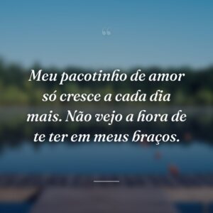 Meu pacotinho de amor só cresce a cada dia mais. Não vejo a hora de te ter em meus braços.