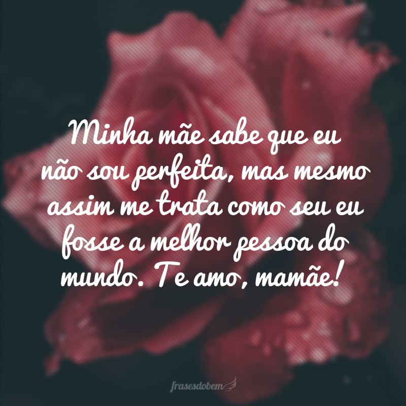 Minha mãe sabe que eu não sou perfeita, mas mesmo assim me trata como seu eu fosse a melhor pessoa do mundo. Te amo, mamãe!