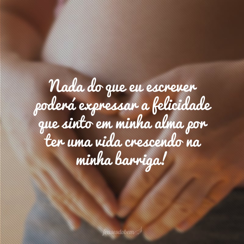 Nada do que eu escrever poderá expressar a felicidade que sinto em minha alma por ter uma vida crescendo na minha barriga!