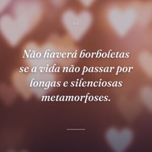 Não haverá borboletas se a vida não passar por longas e silenciosas metamorfoses.