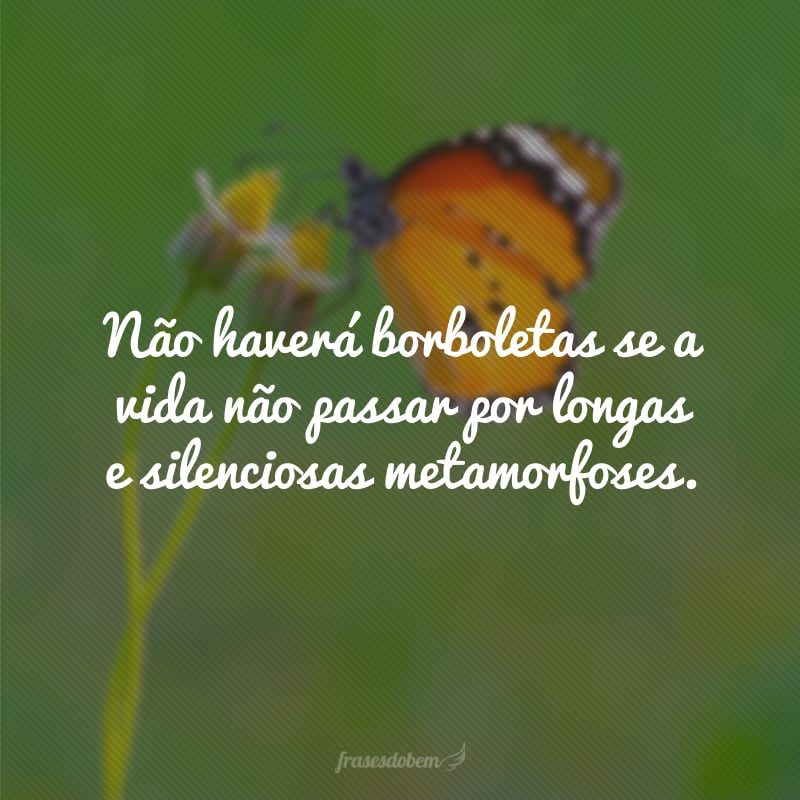 Não haverá borboletas se a vida não passar por longas e silenciosas metamorfoses.