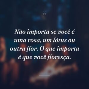 Não importa se você é uma rosa, um lótus ou outra flor. O que importa é que você floresça.