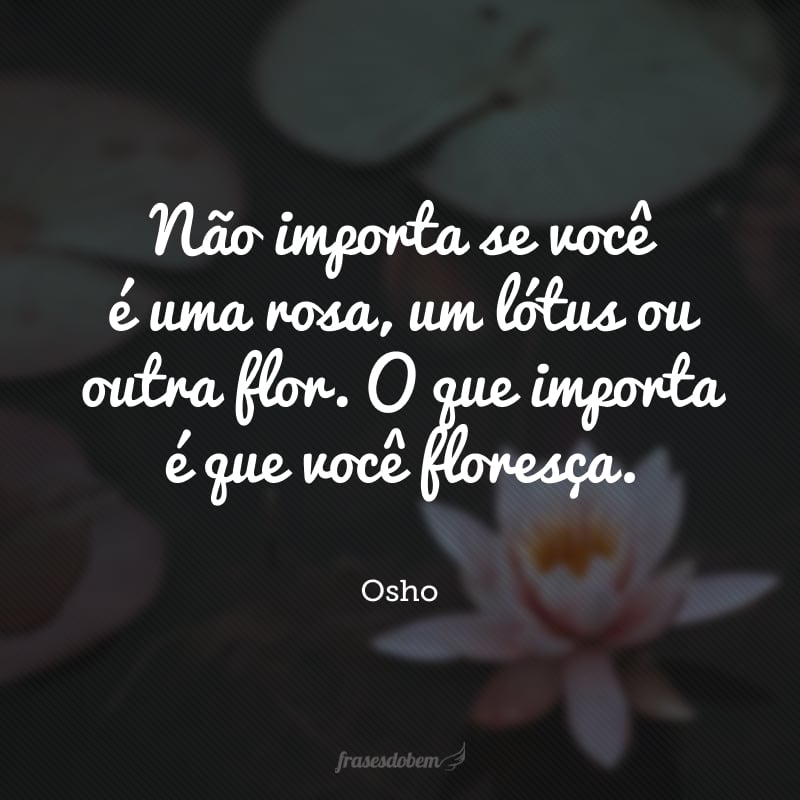 Não importa se você é uma rosa, um lótus ou outra flor. O que importa é que você floresça. 