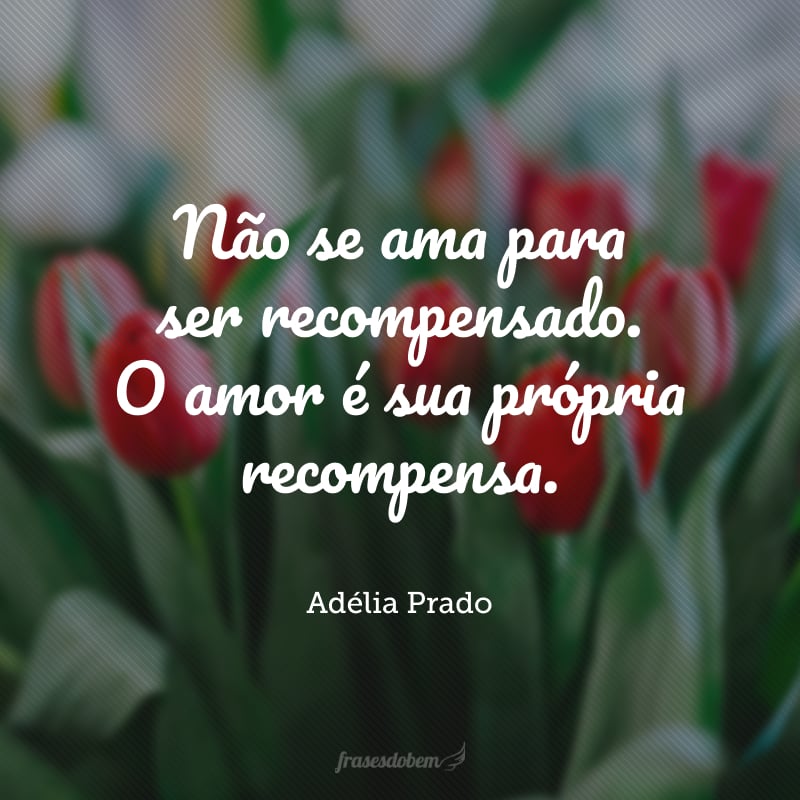 Não se ama para ser recompensado. O amor é sua própria recompensa.