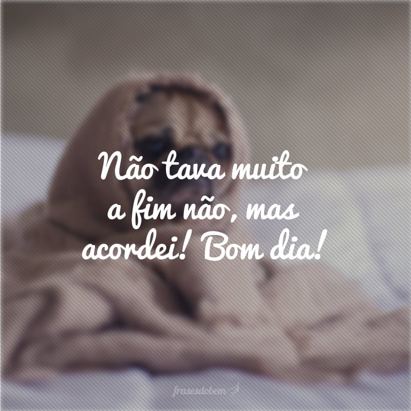 Não tava muito a fim não, mas acordei! Bom dia!