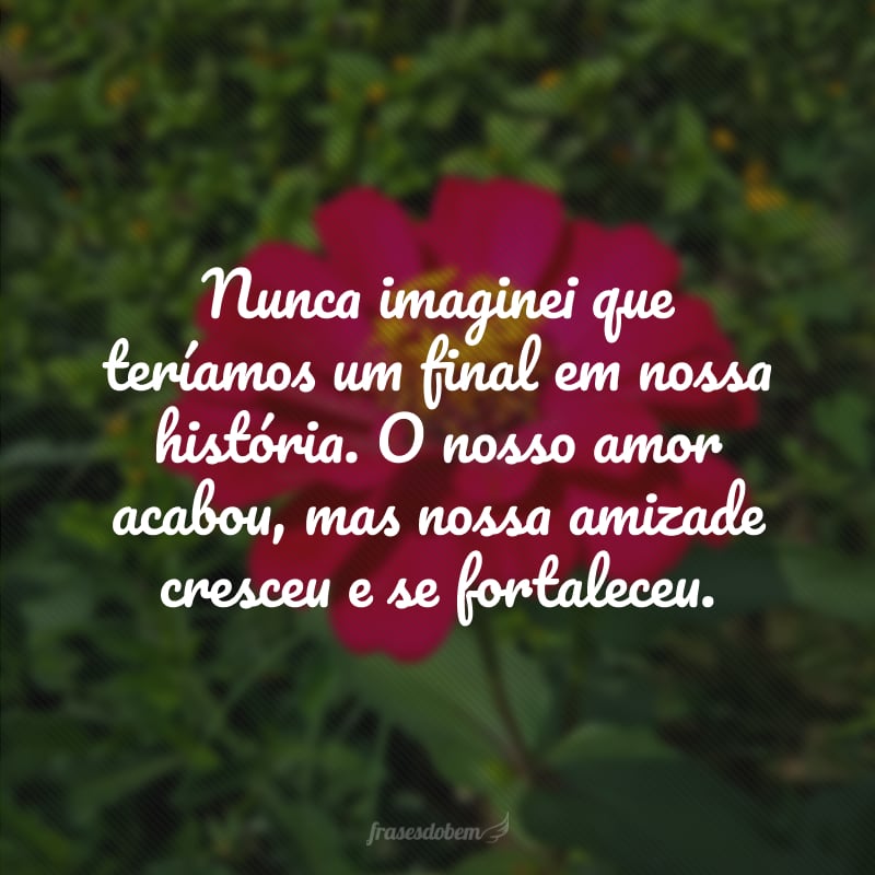 Nunca imaginei que teríamos um final em nossa história. O nosso amor acabou, mas nossa amizade cresceu e se fortaleceu. 