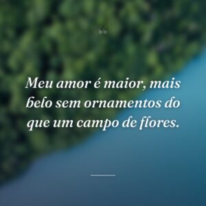 Meu amor é maior, mais belo sem ornamentos do que um campo de flores.