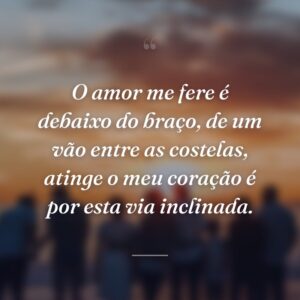 O amor me fere é debaixo do braço, de um vão entre as costelas, atinge o meu coração é por esta via inclinada.