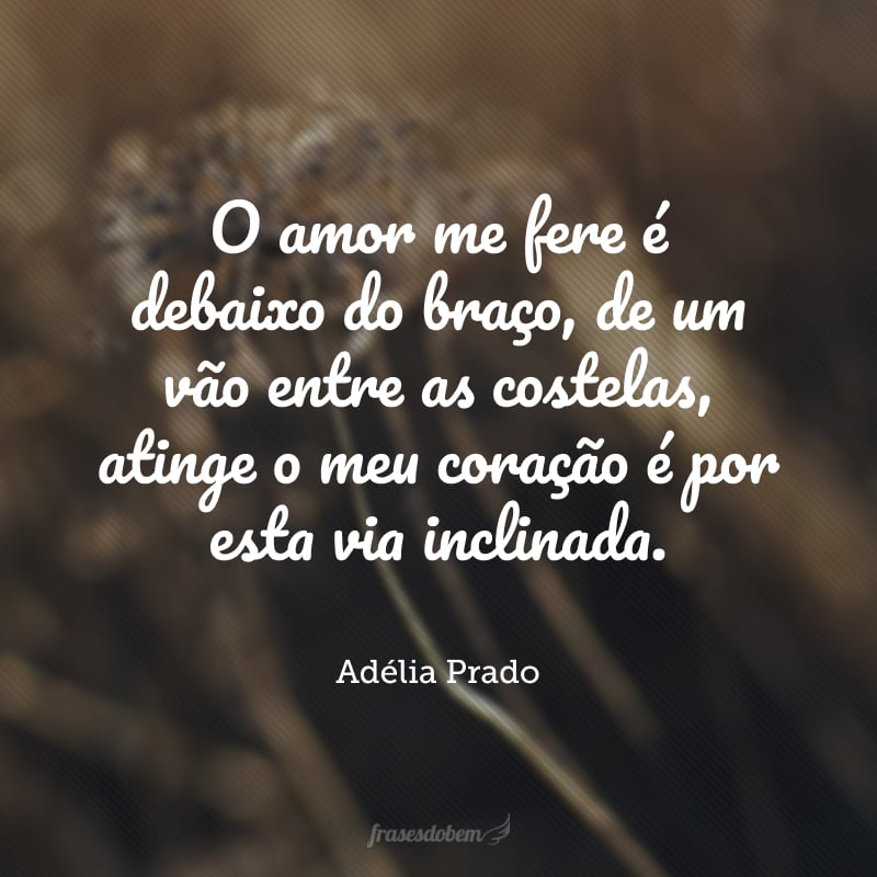 O amor me fere é debaixo do braço, de um vão entre as costelas, atinge o meu coração é por esta via inclinada.