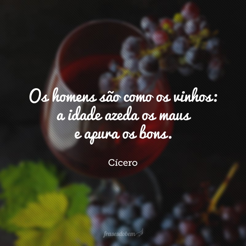 Os homens são como os vinhos: a idade azeda os maus e apura os bons.