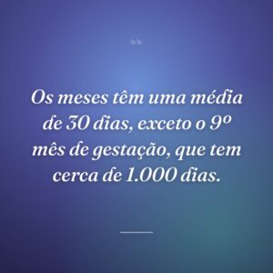 Os meses têm uma média de 30 dias, exceto o 9º mês de gestação, que tem cerca de 1.000 dias.