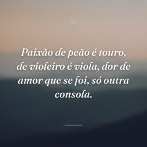 Paixão de peão é touro, de violeiro é viola, dor de amor que se foi, só outra consola.