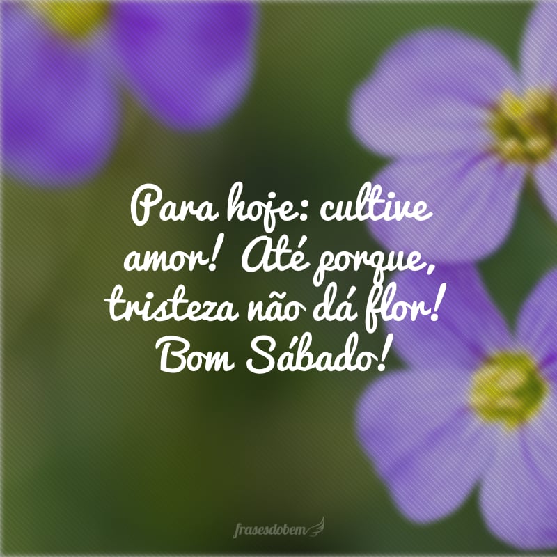 Para hoje: cultive amor! Até porque, tristeza não dá flor! Bom Sábado!