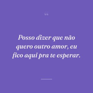 Posso dizer que não quero outro amor, eu fico aqui pra te esperar.