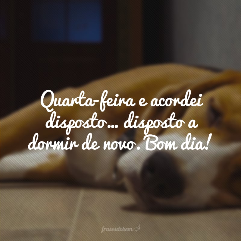 Quarta-feira e acordei disposto… Disposto a dormir de novo. Bom dia!