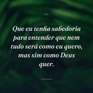 Que eu tenha sabedoria para entender que nem tudo será como eu quero, mas sim como Deus quer.