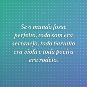 Se o mundo fosse perfeito, todo som era sertanejo, todo barulho era viola e toda poeira era rodeio.