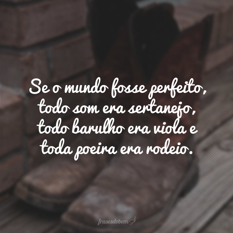 Se o mundo fosse perfeito, todo som era sertanejo, todo barulho era viola e toda poeira era rodeio.