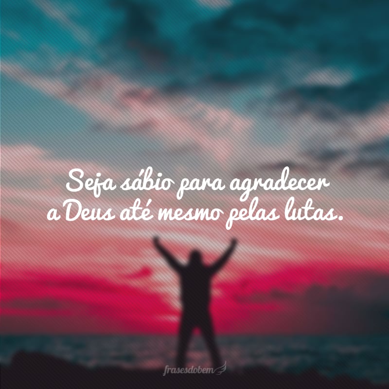 Seja sábio para agradecer a Deus até mesmo pelas lutas. 