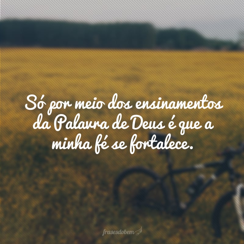 Só por meio dos ensinamentos da Palavra de Deus é que a minha fé se fortalece.