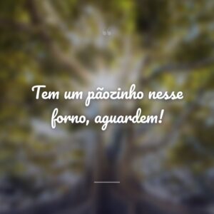 Tem um pãozinho nesse forno, aguardem!