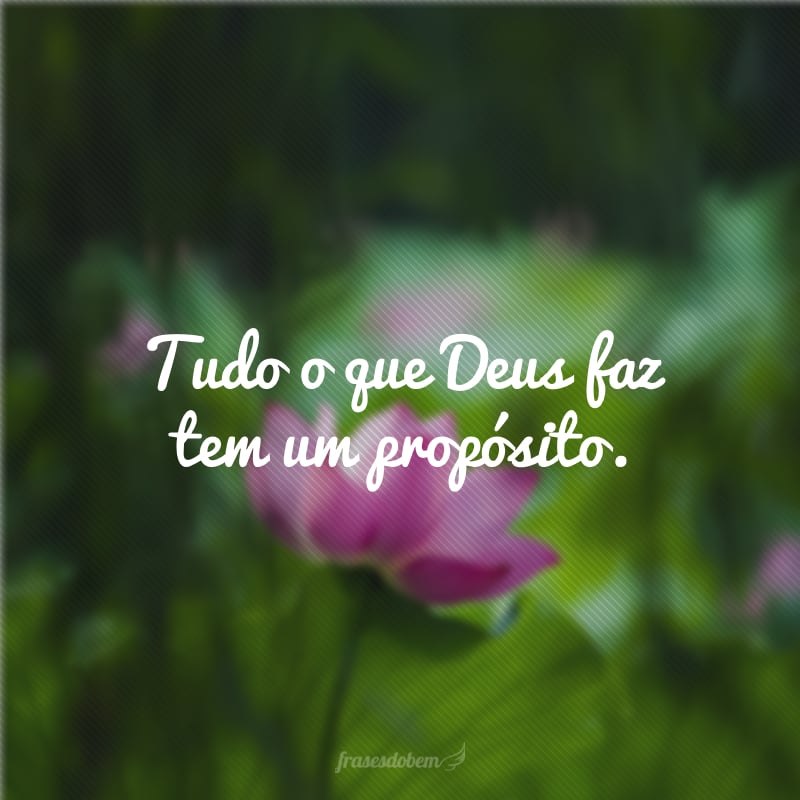 Tudo o que Deus faz tem um propósito.