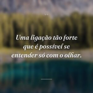 Uma ligação tão forte que é possível se entender só com o olhar.