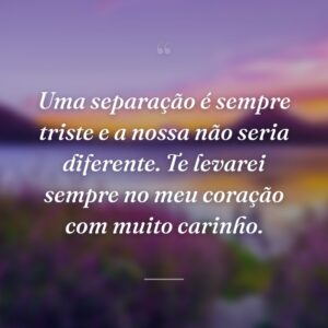 Uma separação é sempre triste e a nossa não seria diferente. Te levarei sempre no meu coração com muito carinho.