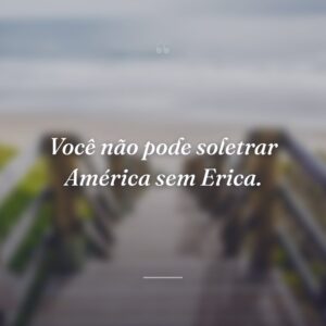 Você não pode soletrar América sem Erica.